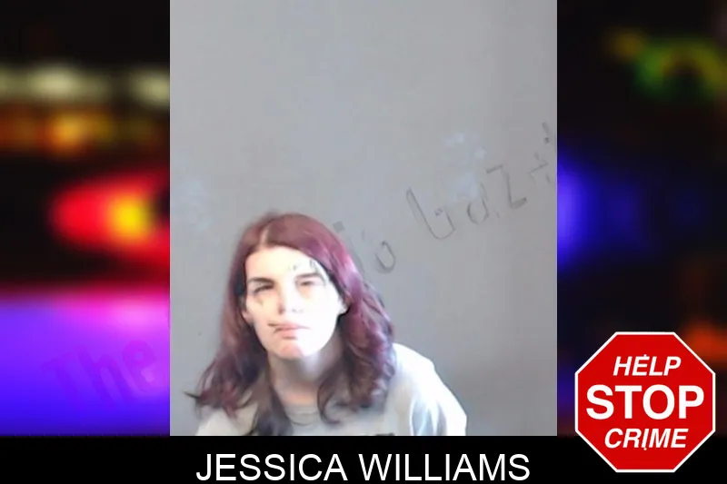Jessica Williams mugshot – DeKalb County , Georgia Jessica Williams mugshot