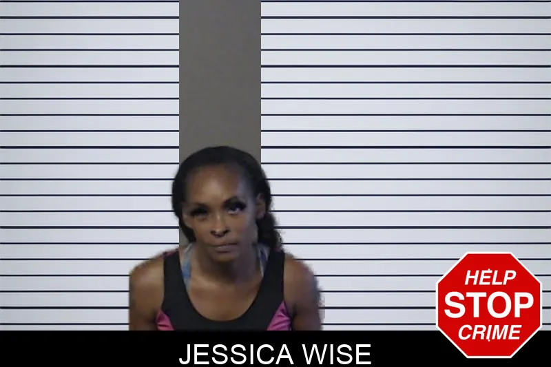 Jessica Wise mugshot – DeKalb County , Georgia Jessica Wise mugshot