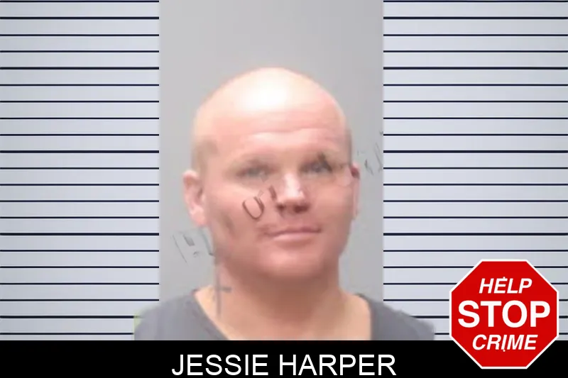 Jessie Harper mugshot