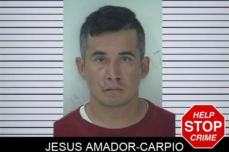 Jesus Amador-Carpio mugshot – Fayette County , Georgia Jesus Amador-Carpio mugshot