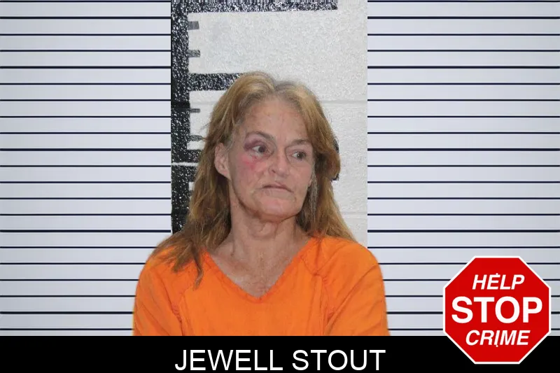 Jewell Stout mugshot