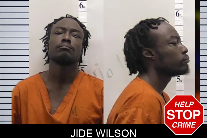Jide Wilson mugshot – Clarke County , Georgia Jide Wilson mugshot