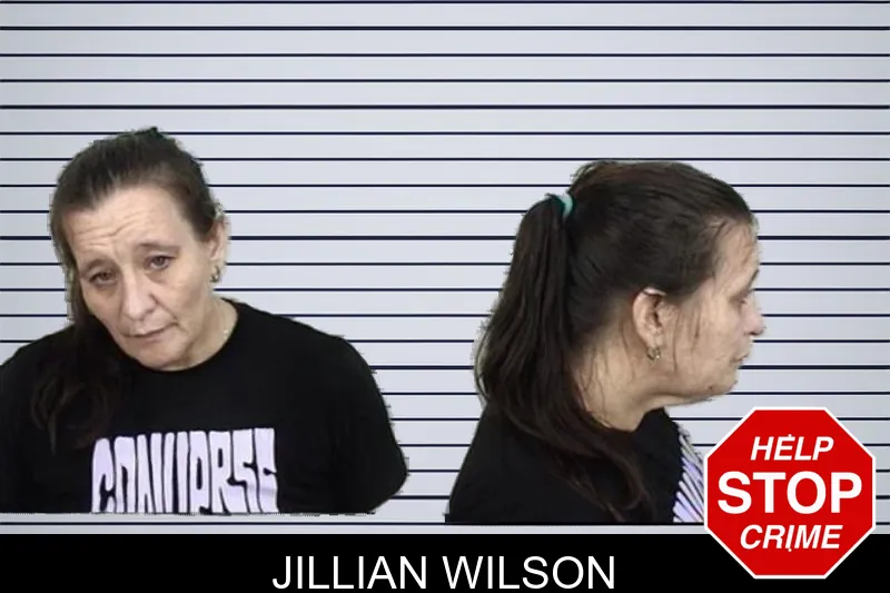 Jillian Wilson mugshot – Camden County , Georgia Jillian Wilson mugshot