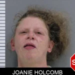 Joanie Holcomb mugshot – Rabun County , Georgia Joanie Holcomb mugshot