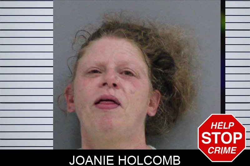 Joanie Holcomb mugshot