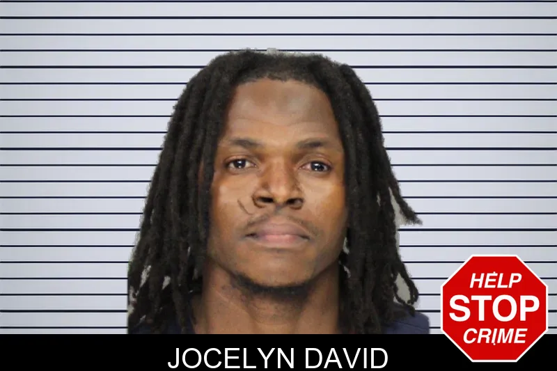 Jocelyn David mugshot – Cobb County , Georgia Jocelyn David mugshot