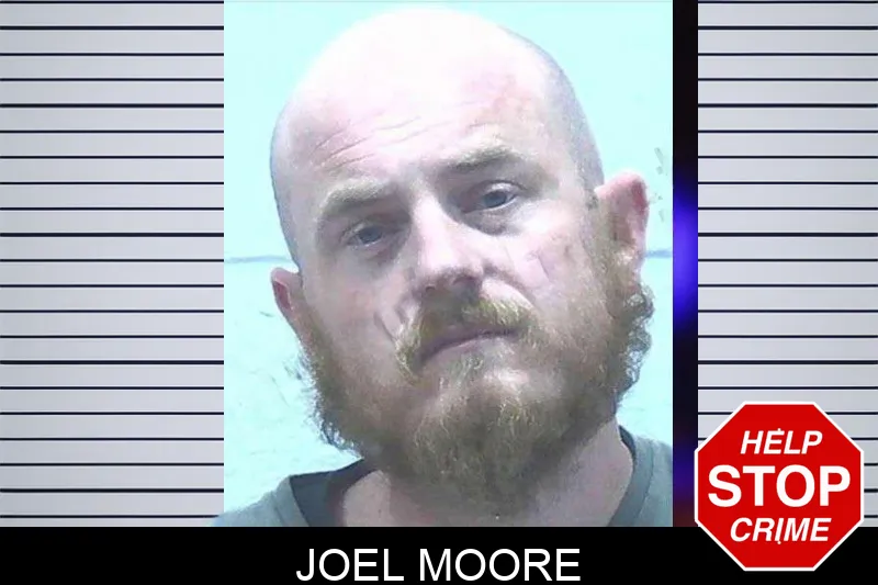 Joel Moore mugshot