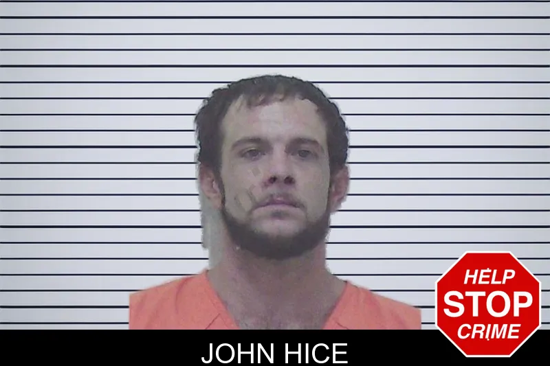 John Hice mugshot – Worth County , Georgia John Hice mugshot