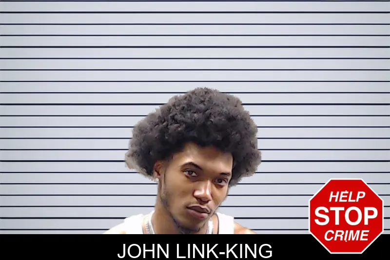 John Link-King mugshot