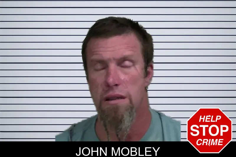 John Mobley mugshot – Wayne County , Georgia John Mobley mugshot