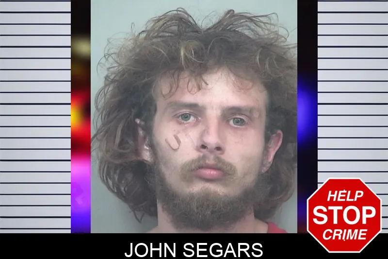 John Segars mugshot – Gwinnett County , Georgia John Segars mugshot