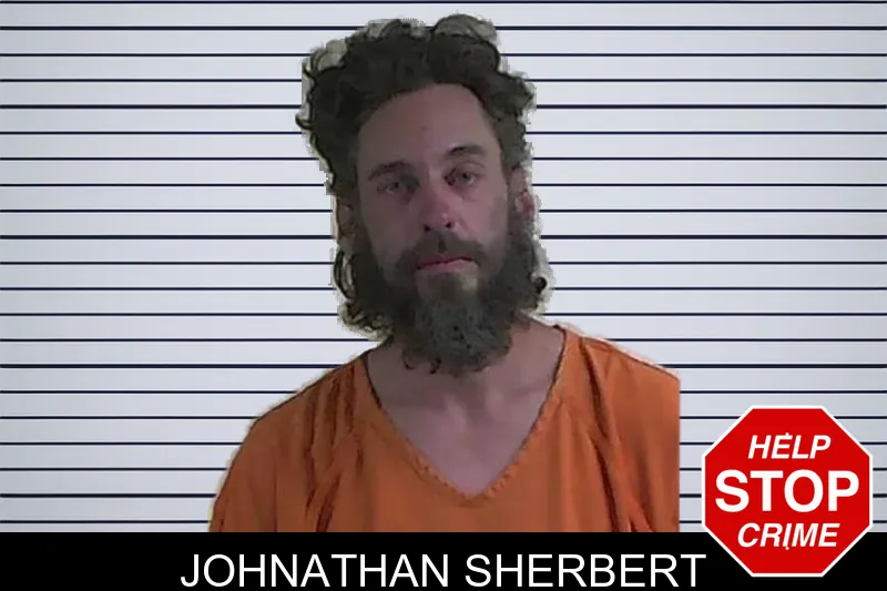 Johnathan Sherbert mugshot – Fannin County , Georgia Johnathan Sherbert mugshot