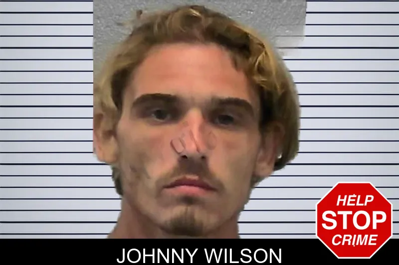 Johnny Wilson mugshot – Ware County , Georgia Johnny Wilson mugshot