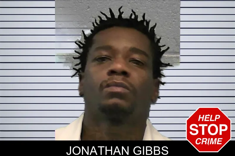 Jonathan Gibbs mugshot – Ware County , Georgia Jonathan Gibbs mugshot