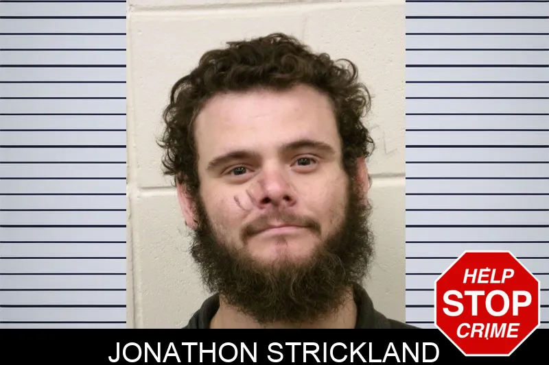 Jonathon Strickland mugshot – Bulloch County , Georgia Jonathon Strickland mugshot