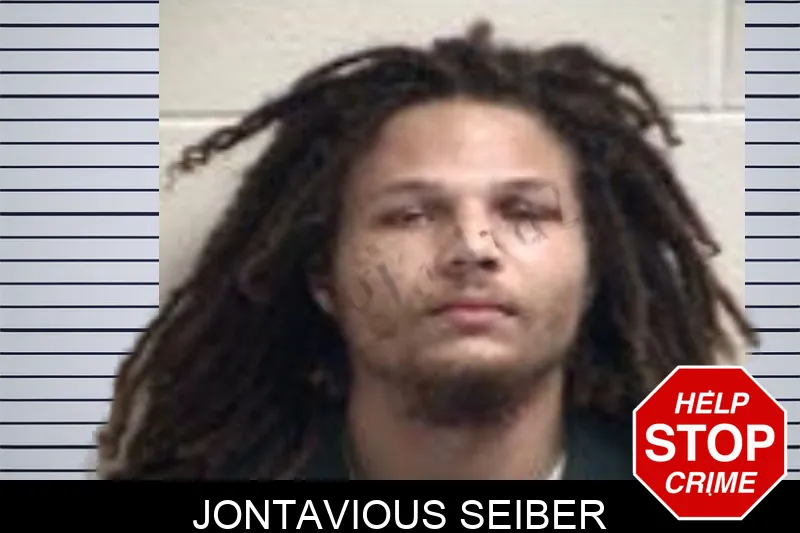 Jontavious Seiber mugshot