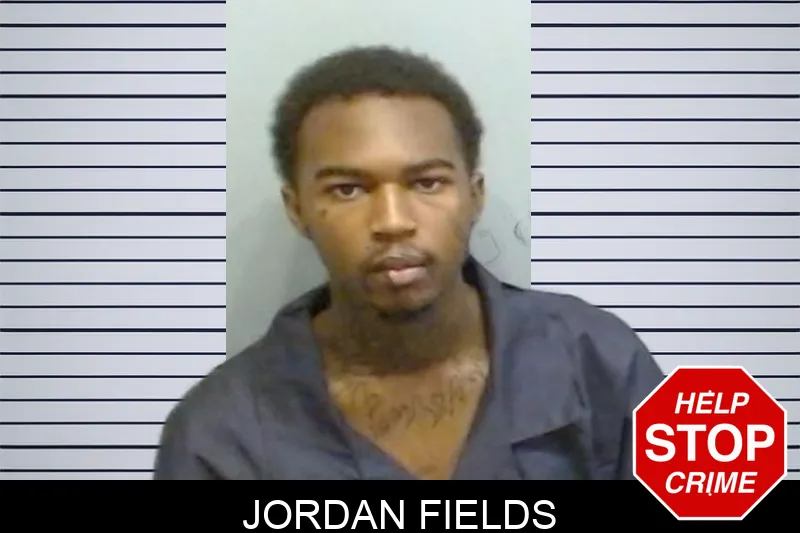 Jordan Fields mugshot