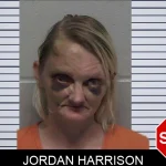 Jordan Harrison mugshot – Laurens County , Georgia Jordan Harrison mugshot