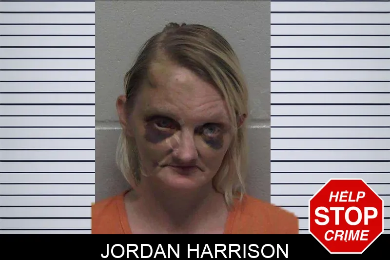 Jordan Harrison mugshot