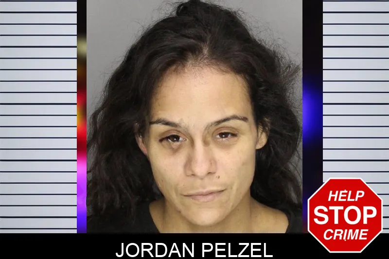 Jordan Pelzel mugshot – Cobb County , Georgia Jordan Pelzel mugshot