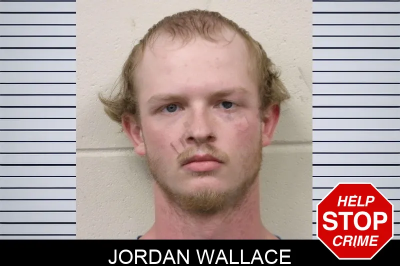 Jordan Wallace mugshot