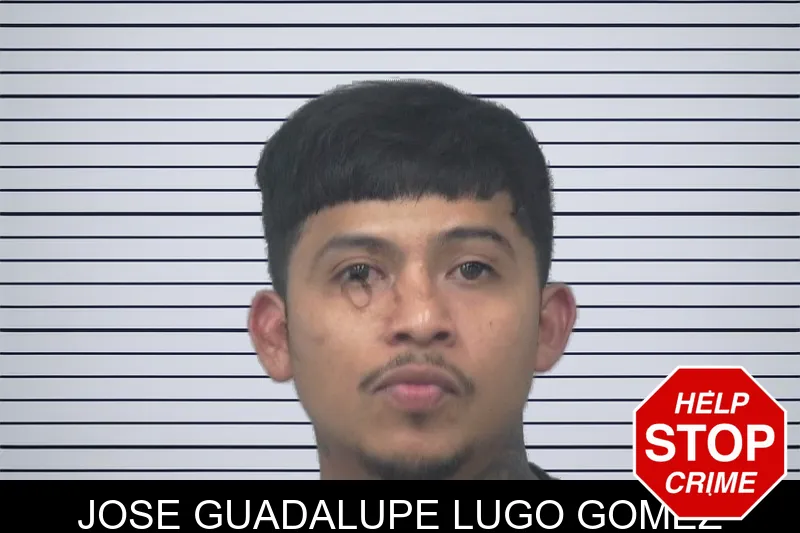Jose Guadalupe Lugo Gomez mugshot