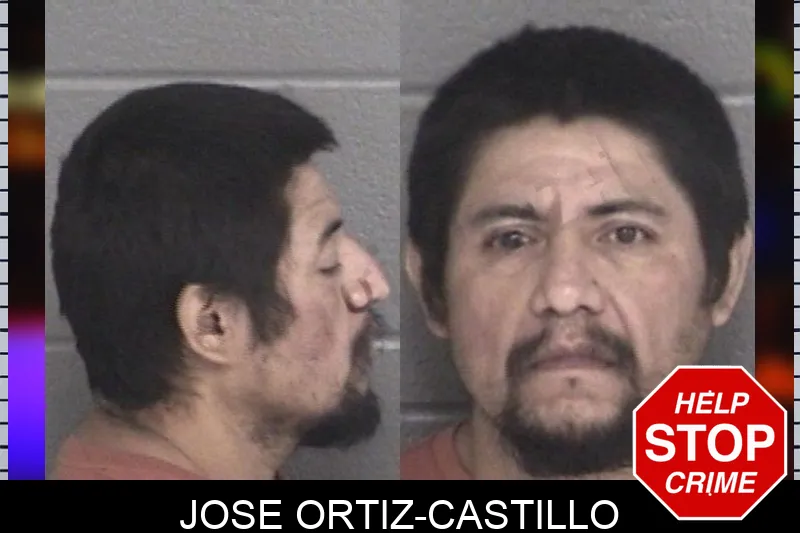 Jose Ortiz-Castillo mugshot