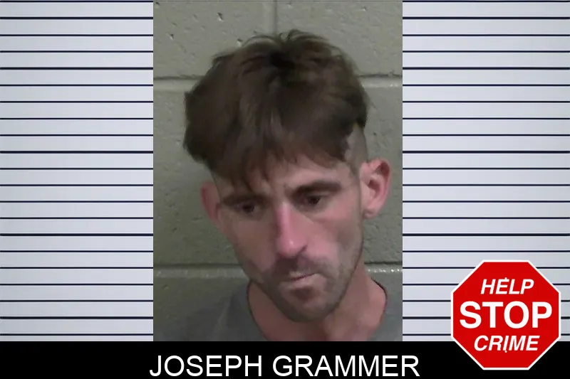 Joseph Grammer mugshot – Wayne County , Georgia Joseph Grammer mugshot