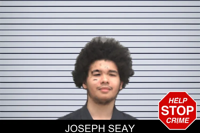 Joseph Seay mugshot – Dougherty County , Georgia Joseph Seay mugshot