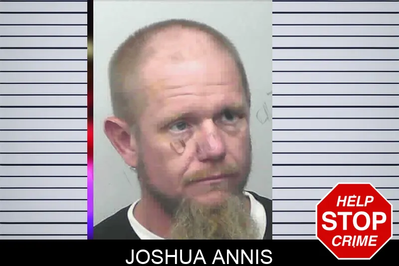 Joshua Annis mugshot