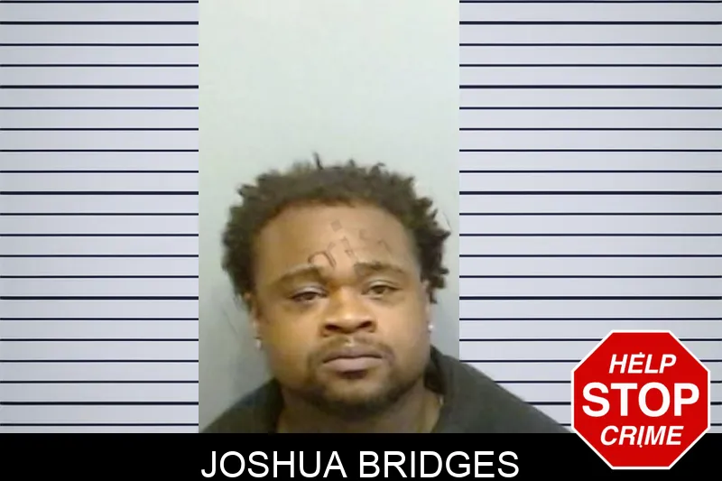 Joshua Bridges mugshot