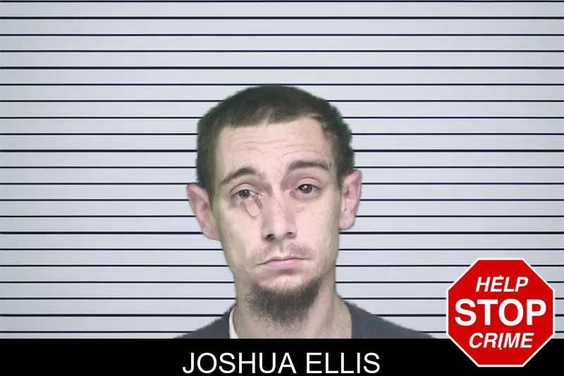 Joshua Ellis mugshot – Appling County , Georgia Joshua Ellis mugshot