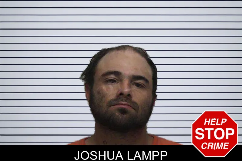 Joshua Lampp mugshot – Laurens County , Georgia Joshua Lampp mugshot