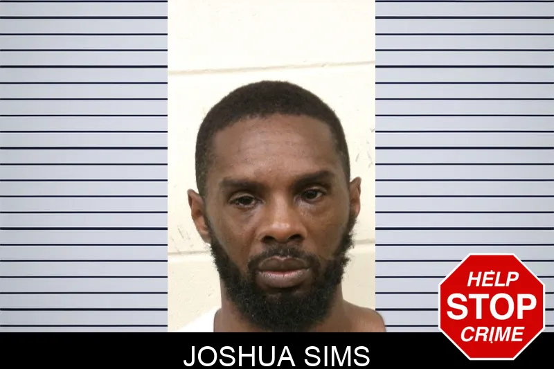 Joshua Sims mugshot – Bulloch County , Georgia Joshua Sims mugshot