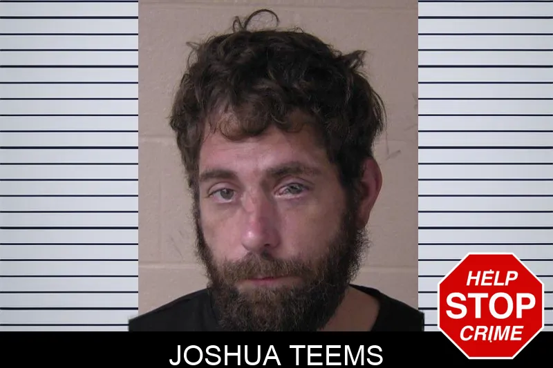 Joshua Teems mugshot – Walker County , Georgia Joshua Teems mugshot