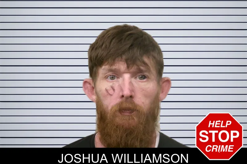 Joshua Williamson mugshot – Bulloch County , Georgia Joshua Williamson mugshot
