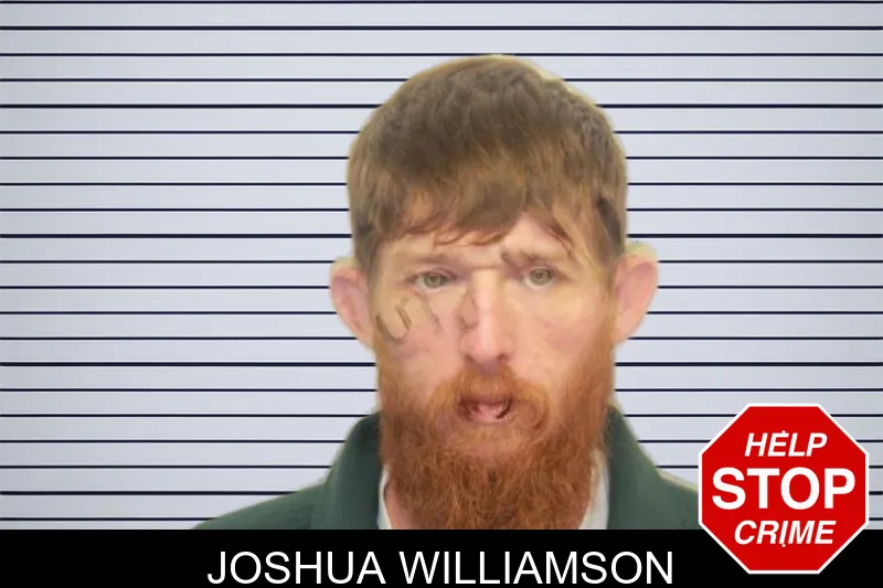 Joshua Williamson mugshot
