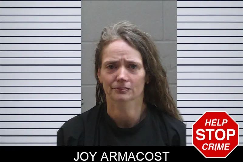 Joy Armacost mugshot – Madison County , Georgia Joy Armacost mugshot