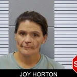 Joy Horton mugshot – Candler County , Georgia Joy Horton mugshot