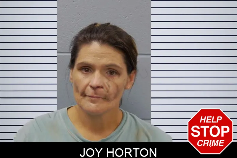 Joy Horton mugshot