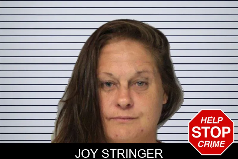 Joy Stringer mugshot – Hall County , Georgia Joy Stringer mugshot