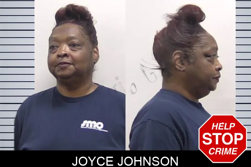 Joyce Johnson mugshot