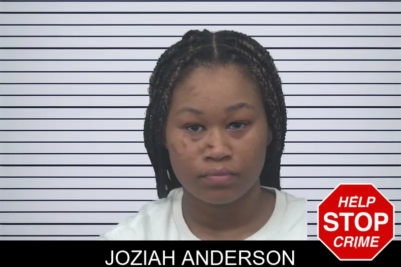 Joziah Anderson mugshot