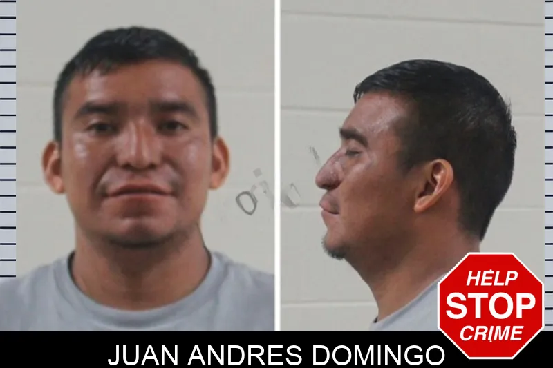 Juan Andres Domingo mugshot – Houston County , Georgia Juan Andres Domingo mugshot