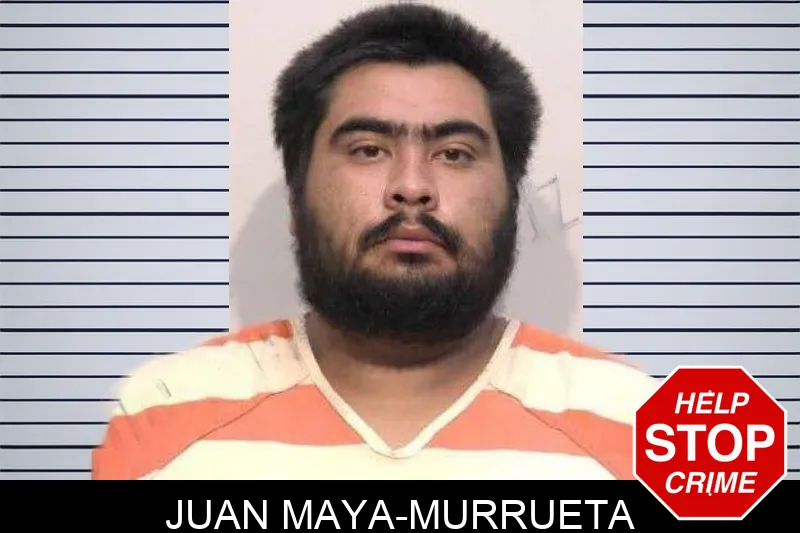 Juan Maya-Murrueta mugshot