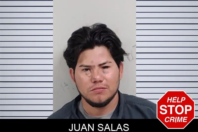 Juan Salas mugshot – Lowndes County , Georgia Juan Salas mugshot