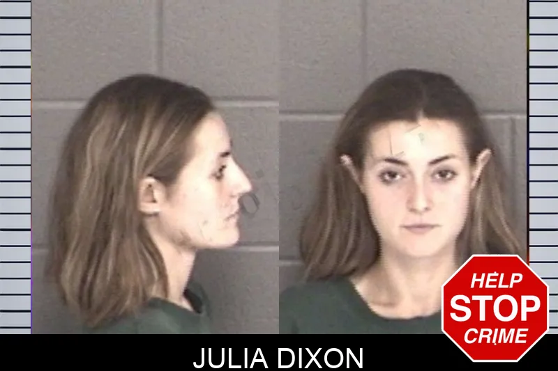 Julia Dixon mugshot – Barrow County , Georgia Julia Dixon mugshot