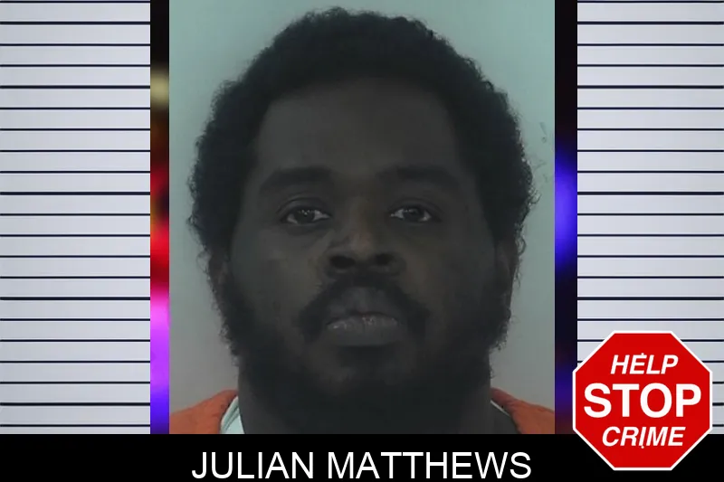 Julian Matthews mugshot
