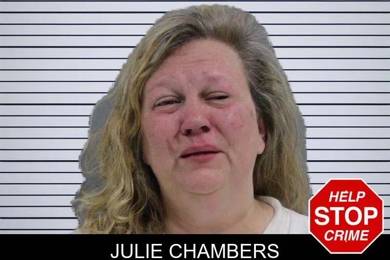 Julie Chambers mugshot