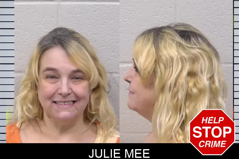 Julie Mee mugshot – Paulding County , Georgia Julie Mee mugshot
